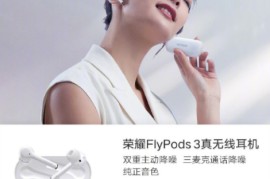 荣耀flypods3(荣耀flypods3无线耳机说明书)