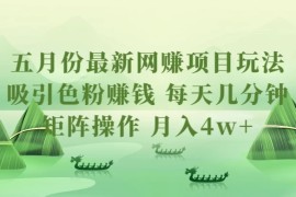 五月份最新网创项目玩法，吸引色粉赚钱，每天几分钟，矩阵做号，月入4万 