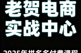 老贺电商2025年拼多多付费课程，用通俗易懂的方法告诉你多多怎么玩