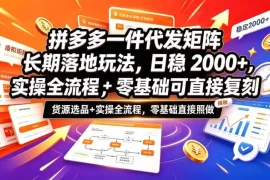 拼多多一件代发矩阵长期落地玩法，日稳入2k ，选品货源 实操全流程，零基础可直接复刻【拆解】