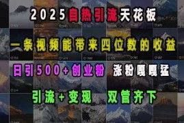 2025自热引流天花板，一条视频能带来四位数的收益，引流 变现双管齐下，日引500 创业粉，涨粉嘎嘎猛