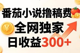 番茄撸稿费，稳定日收益300 ，全网独家，副业必看，小白易上手，超级简单【揭秘】