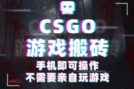（16090期）CSGO游戏挂机捡漏，单日扫货500 ，年底小高峰上车可吃肉，手机即可操作…