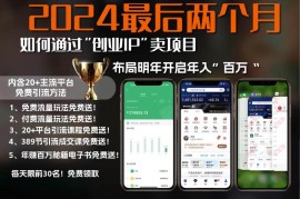 （13322期）2024最后两个月如何通过”创业IP“卖项目年入”百万“,创业IP 最强引流…