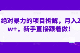 绝对暴力的项目拆解，月入 2w ，新手直接跟着做【揭秘】