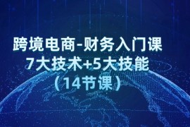 （12047期）跨境电商-财务入门课：7大技术 5大技能（14节课）