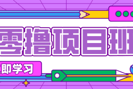 一个长期去深耕，坚持去做就有被动收入的项目，实测每天2小时轻松收益100 