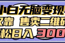（9637期）小白无脑变现，仅靠售卖二维码，轻松日入300 