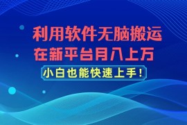 利用软件无脑搬运，在新平台月入上万，小白也能快速上手