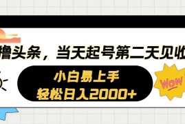 （10884期）AI撸头条，当天起号，第二天见收益。轻松日入2000 
