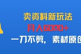 卖资料新玩法，月入6k ，一刀不剪，素材原创