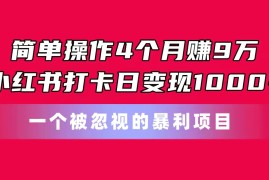 （11048期）简单操作4个月赚9万！小红书打卡日变现1000 ！一个被忽视的暴力项目