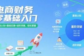 电商财务零基础入门，基础认知 基础实操 进阶突破，轻松掌握