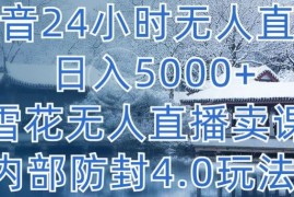 抖音24小时无人直播 日入5000 ，雪花无人直播卖课，内部防封4.0玩法【揭秘】