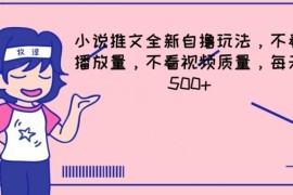 小说推文全新自撸玩法，不看播放量，不看视频质量，每天500 【揭秘】