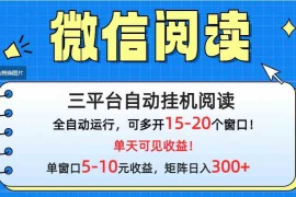 （9666期）微信阅读多平台挂机，批量放大日入300 