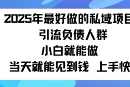 2025私域风口：盯紧负债群体，变现猛，不挑人，有手就行当天见钱
