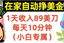 在家自动挣美金，1天收入89刀，每天10分钟，小白专属，长期的被动收入