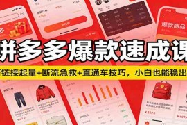 拼多多爆款速成课：新链接起量 断流急救 直通车技巧，小白也能稳出单