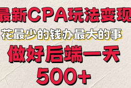 最新CPA变现玩法，花最少的钱办最大的事，做好后端一天500 