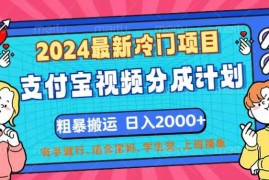 （12407期）2024最新冷门项目！支付宝视频分成计划，直接粗暴搬运，日入2000 ，有…