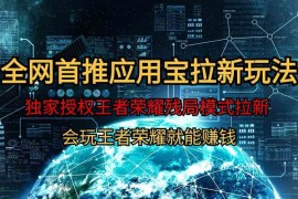（9907期）【全网首发】腾讯应用宝王者荣耀残局模式拉新赛道，轻松日如1000 