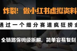 炸裂！做小红书虚拟资料，通过一个细分赛道疯狂捞金，全链路保姆级拆解，简单容易复刻