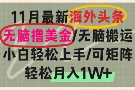 （13390期）海外头条，无脑搬运撸美金，小白轻松上手，可矩阵操作，轻松月入1W 