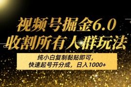 视频号掘金6.0收割所有人群玩法！纯小白复制黏贴即可，快速起号开分成，日入1000 
