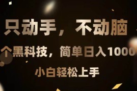 （13422期）只动手，不动脑，扫个黑科技，简单日入1000 ，小白轻松上手