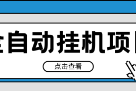 2024最新全自动挂机项目，收益稳定玩法，单机利润100 ，小白必备
