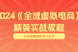 （11484期）月入五位数 干就完了 适合小白的全域虚拟电商项目（无水印教程 交付手册）