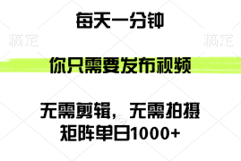 （12538期）矩阵单日1000 ，你只需要发布视频，用时一分钟，无需剪辑，无需拍摄