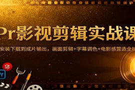 Pr影视剪辑实战课：从安装下载到成片输出，画面剪辑 字幕调色 电影感营造全技巧