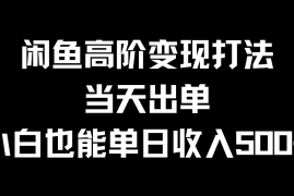 闲鱼高阶变现打法，当天出单，小白也能单日收入500 