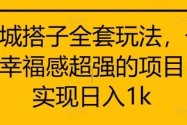 同城搭子全套玩法，一个幸福感超强的项目，实现日入1k【揭秘】