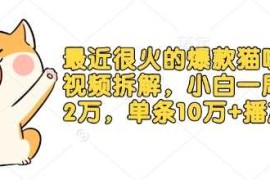 最近很火的爆款猫咪做饭视频拆解，小白一周涨粉2万，单条10万 播放(附保姆级教程)