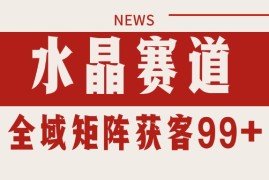 小红书某音水晶赛道引流获客 自热矩阵日引200 