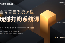 （12037期）全网首套系统打粉课，日入3000 ，手把手各行引流SOP团队实战教程