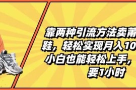 靠两种引流方法卖莆田高端鞋，轻松实现月入1W ，小白也能轻松上手，每天只要1小时【揭秘】