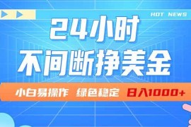 （17769期）24小时全天挣美金，小白易入手，长期稳定，日入1000 