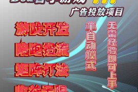 （16175期）抖音小游戏广告推广项目，2025最新实测落地，单日收益300 