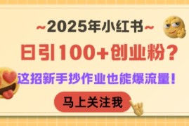 2025年小红书日引100 创业粉？这招新手抄作业也能爆流量！