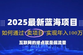 （14305期）2025最新蓝海项目，零门槛轻松复制，月入10万 ，新手也能操作！