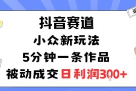 抖音赛道：小众新玩法，5分钟一条作品，被动成交，日利润3张