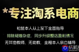 松鼠会电商VIP课程，从基础布局到高阶优化，助你掌握淘宝运营逻辑，提升店铺流量与转化