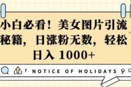 小白必看，美女图片引流秘籍，日涨粉无数，轻松日入几张【揭秘】