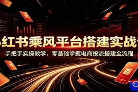 小红书乘风平台搭建实战课：手把手实操教学，零基础掌握电商投流搭建全流程