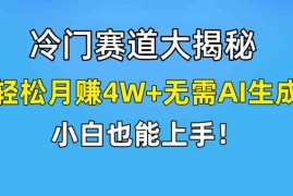 （9949期）快手无脑搬运冷门赛道视频“仅6个作品 涨粉6万”轻松月赚4W 