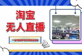 （14417期）淘宝无人直播带货，单品打爆 搜索流打法，24小时必出单